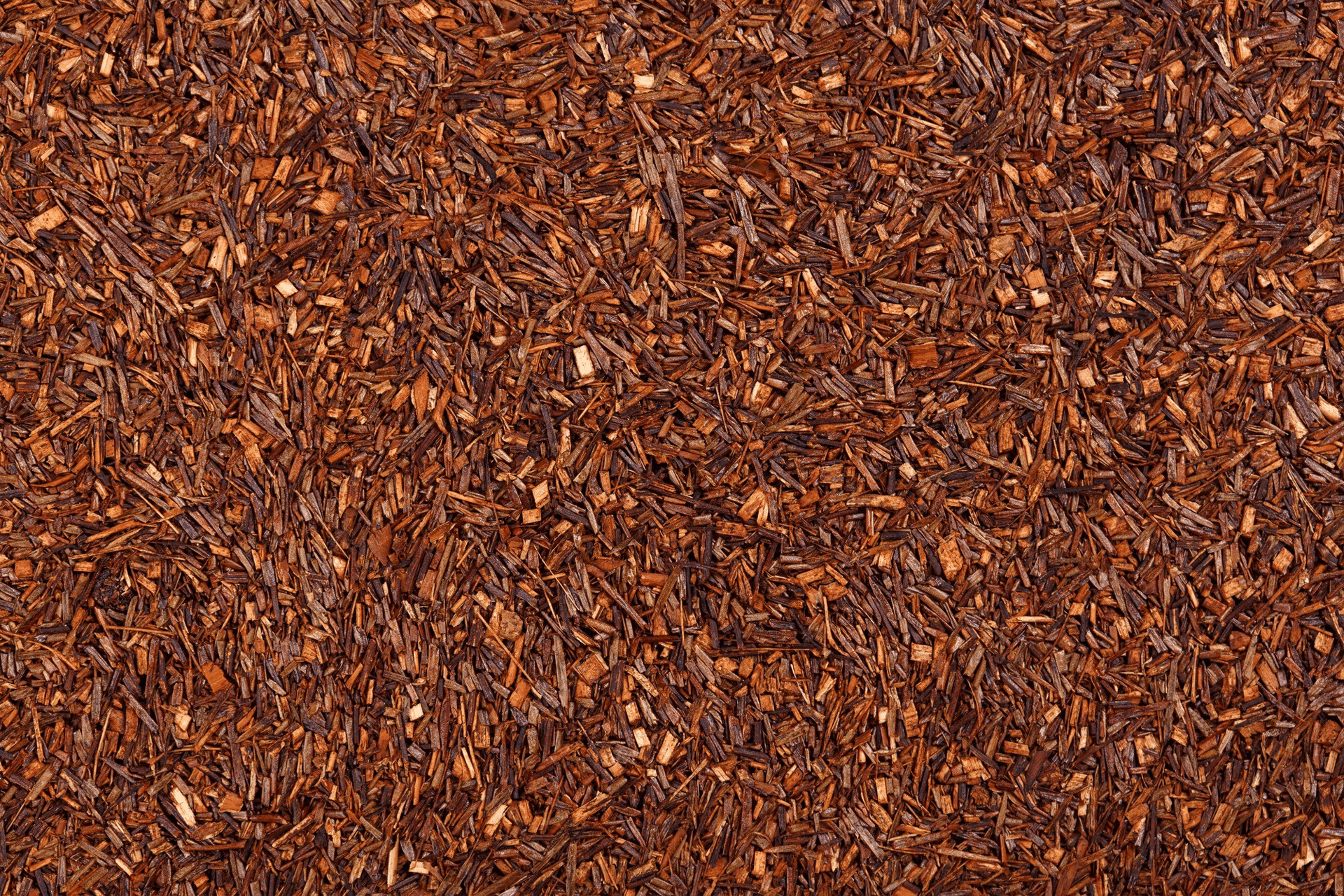 Rooibos - Doux et apaisants - rooibos