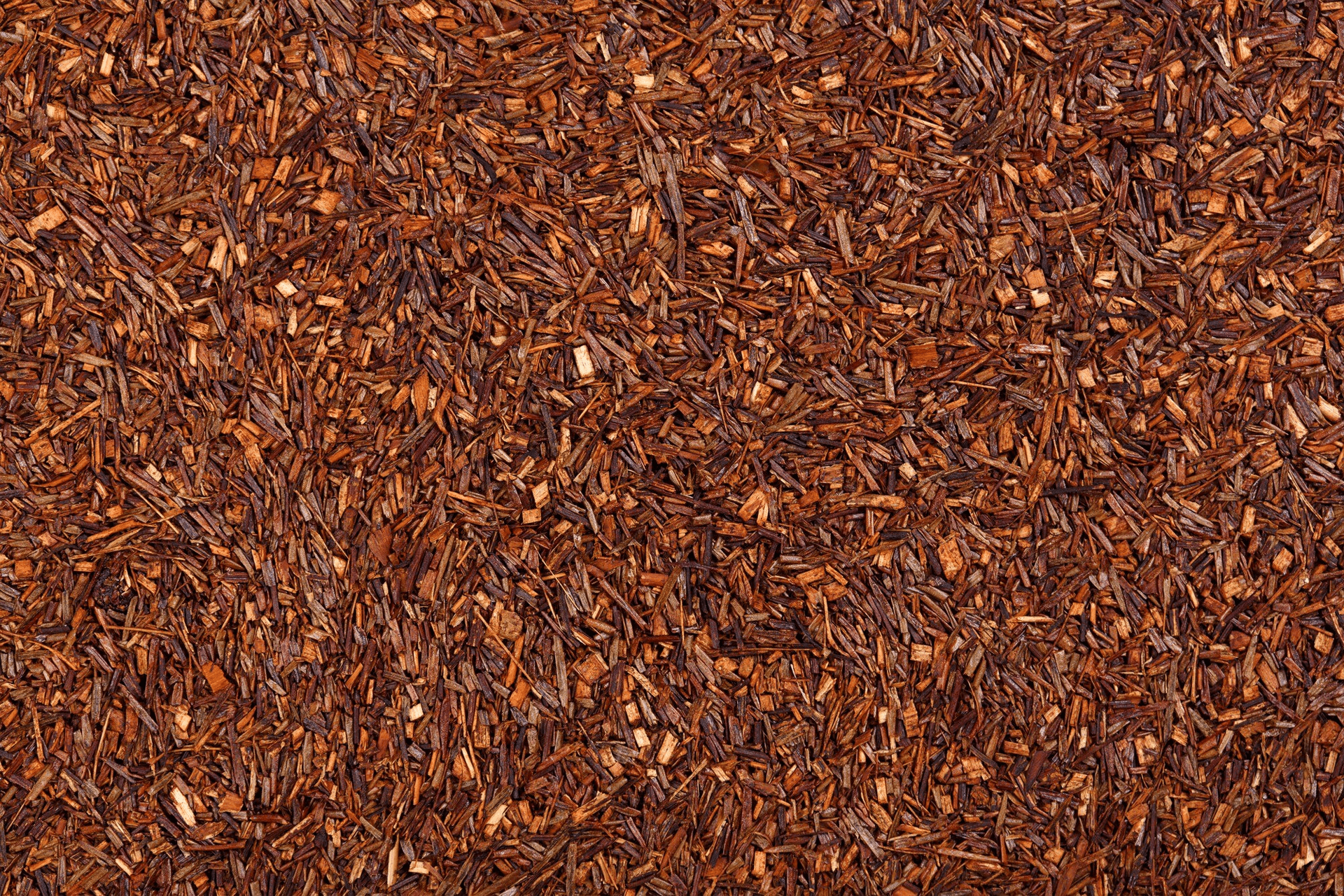 Rooibos