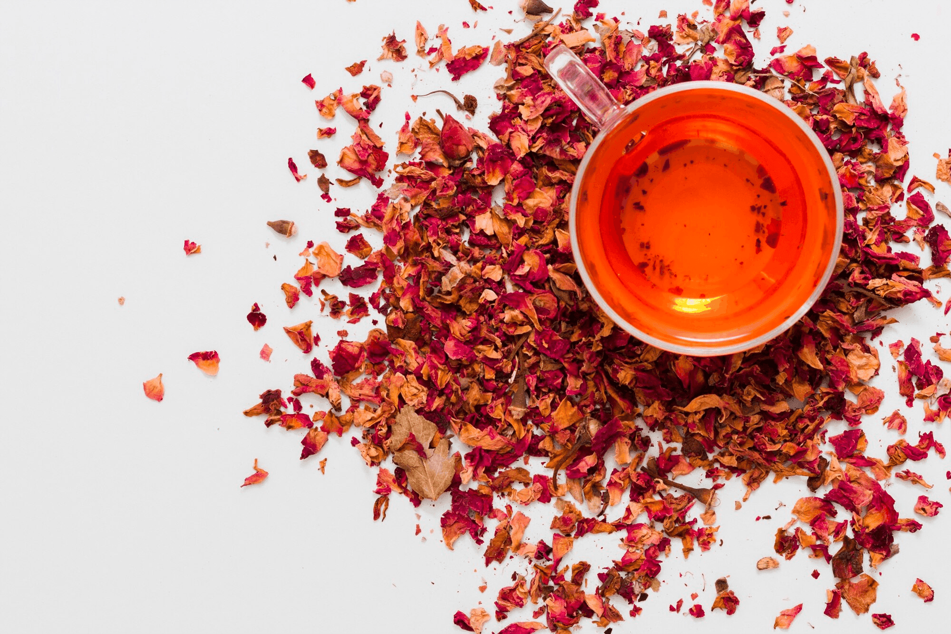 Illustration - Rooibos